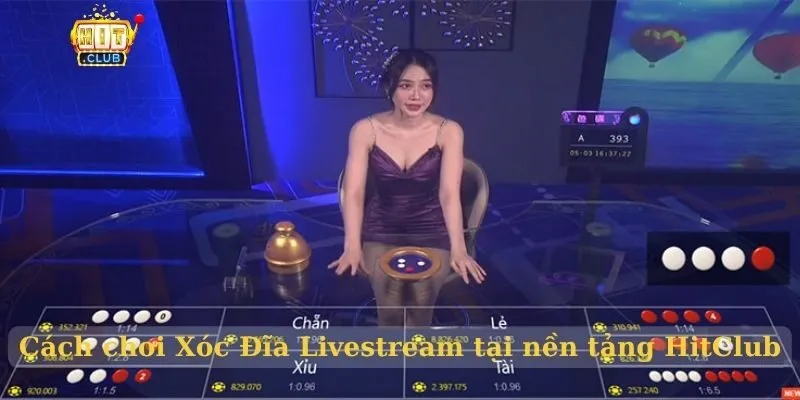 Cách chơi Xóc Đĩa Livestream tại nền tảng HitClub